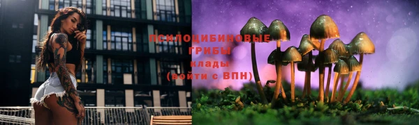 jwh Аркадак