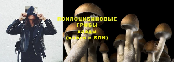 jwh Аркадак