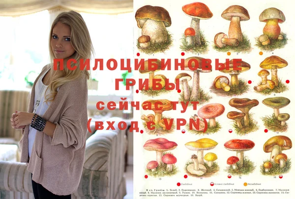 кокаин Арсеньев