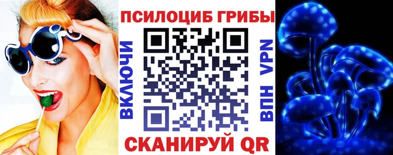 продажа наркотиков  Аша  Псилоцибиновые грибы GOLDEN TEACHER 