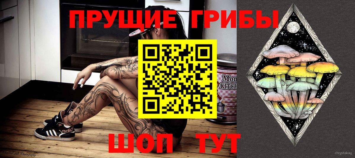 Аша  Галлюциногенные грибы GOLDEN TEACHER  Вход с VPN  Галлюциногенные грибы Psilocybe 